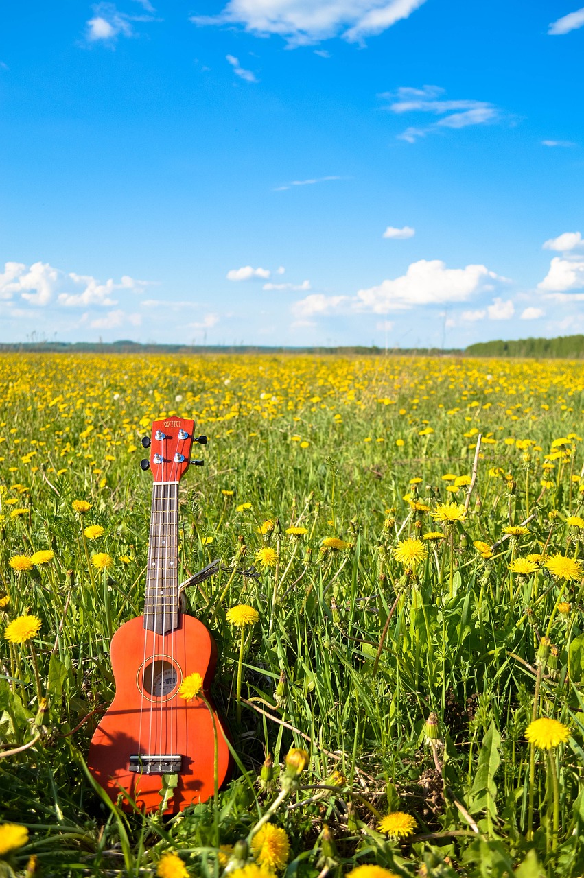 Ukulele